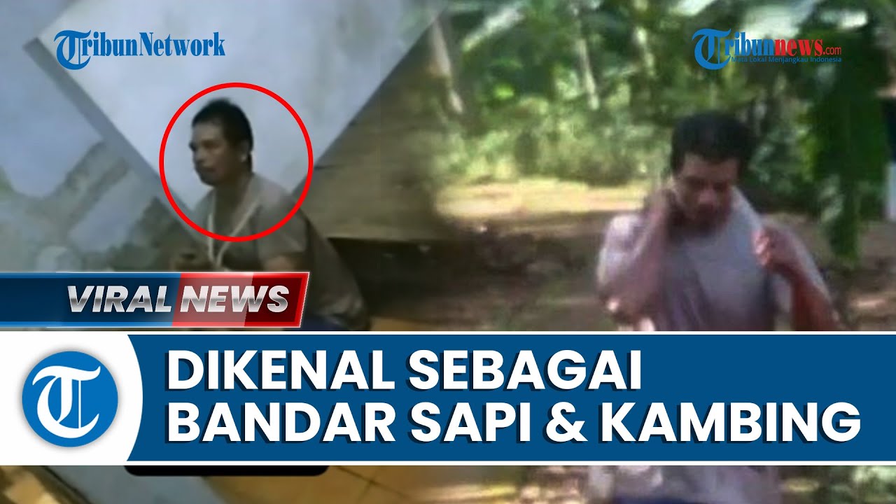 Sosok Pelaku Pemutilasi Istri Di Ciamis, Dikenal Sebagai Bandar Sapi ...