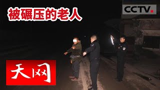 《天网》老人健走遭遇不测 事故复杂超乎想象 警方通过鸡蛋液抓出真凶！20221104 | CCTV社会与法