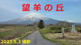 【北海道観光】絶景の「望羊の丘」を撮影しました