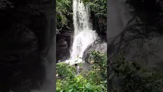 thirikakkayam water fall nadapuram, vanimal