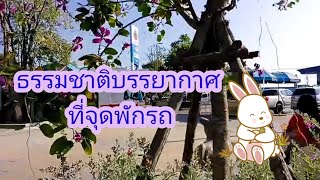 ชมธรรมชาติบรรยากาศการเดินทางจากชัยนาทสู่พิษณุโลก#ท่องเที่ยว #วิว#บรรยากาศ#สวย #ประเทศไทย