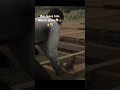 fat ahh cat rdr1 reddead rdr2edit rdr2clips rdo