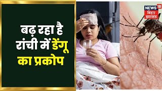 Ranchi के गली-मोहल्लों में जलजमाव के चलते Dengue का लगातार बढ़ता जा रहा है प्रकोप | Jharkhand News