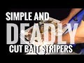 How to catch Stripers with cut bait. How to rig and where to fish. Striped Bass Fishing CHUNK RIG!