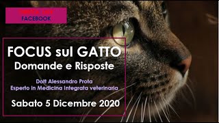 FOCUS SUL GATTO domande e risposte con il dott. Alessandro Prota