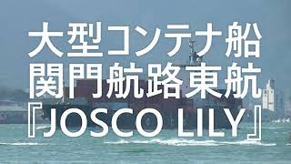 大型コンテナ船関門航路東航『JOSCO LILY』