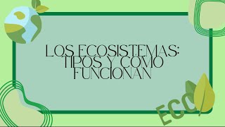 Los Ecosistemas:Tipos y Como funcionan