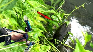 PANIK.!!  TAPI JANGAN SAMPAI SALAH FOKUS| KETAPEL IKAN |SLINGSHOT FISHING