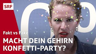 Faktencheck: Brauchen wir nur 10 % unseres Gehirns? | Fakt vs Fake | SRF Wissen