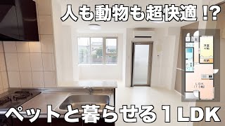 【ペット可賃貸】綺麗なお部屋でペットと同棲！一人暮らし向け間取りの１LDK物件を内見