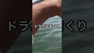 これがサビキ釣りだ。ドラグ出まくり、竿曲がりまくり/This is sabiki fishing. Rolling out the drag, rolling the rod #shorts