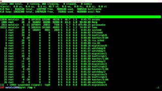 Putting Processes in the Background Part 1 Linux Shell Script Tutorial