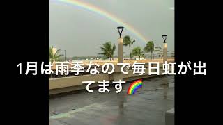 ハワイ固定料金タクシー乗り方！（チャーリーズタクシー予約方法）