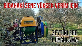 ZEYTİNDE HASAT SONRASI 1. UYGULAMA /BİDAKİ SEZONA AĞAÇLARI HAZIRLIYORUZ (AGRO TRİO)