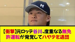 【衝撃】元ロッテ谷川、度重なる無免許運転が発覚してくふうハヤテを退団《なんj反応集》