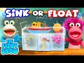 Fizzy & Phoebe's Sink or Float Science Experiment! | Fun Videos For Kids
