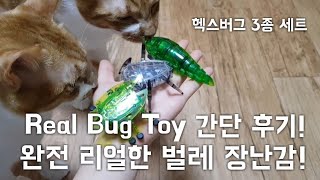 완전 리얼한 벌레 장난감 간단 후기! Real Bug Toy!