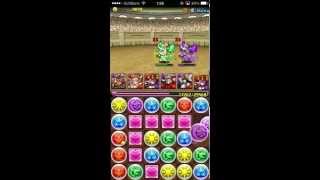 呂布ソニ　第4回 チャレンジダンジョン lv5　パズドラ攻略動画