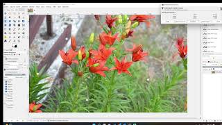 GIMP tutorial - změna velikosti obrázku a změna ostrosti obrázku