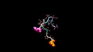 Molecular Dynamics Simulation of self assembling Peptide in gromacs