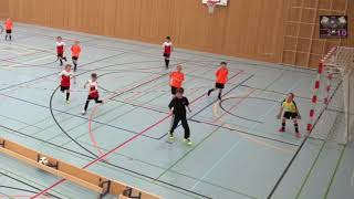 Hallenturnier 2018 HOGA FC Stein am Rhein F3 Junioren