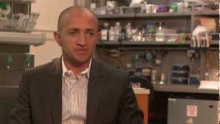 Medical Microbiologist Sarkis Mazmanian: 2012 MacArthur Fellow | MacArthur Foundation