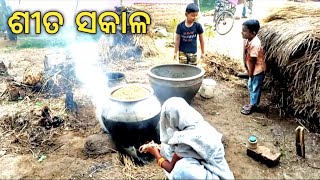 ସେଇ ଶୀତ ସକାଳ ସେଇ ଆମ୍ବ ବଉଳ || village life style || odia tradition || odia sanskruti || khanti odia