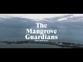 Mangrove Guardians: Empowering Women, Protecting the Future