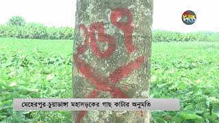 সড়ক প্রশস্তকরণের নামে মেহেরপুরে চলছে গাছ কাটার প্রস্তুতি | Meherpur District | Roadside Tree Cutting