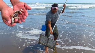 HERRAMIENTA PARA SACAR PULGAS DE ARENA MUY MUY - cebo de pesca - Sand Fleas