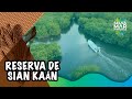 La RESERVA de la biósfera SIAN KAÁN en Quintana Roo | Filiberto Martínez