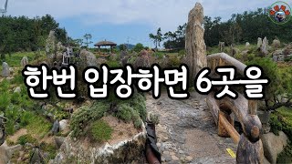 한 번 입장하면 여섯 곳을 볼 수 있는 1004섬 뮤지엄파크입니다. 1004섬 수석미술관, 수석정원, 세계조개박물관, 새우란전시관, 신안 가볼만한곳, 신안 여행