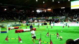 Ács Viktória \u0026 Mamusz individual jumping FCI agility World Championship 2009, Dornbirn