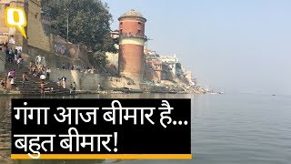 गंगा में पूरी आस्था लेकिन इतने प्रदूषित जल में कैसे करें आचमन | Quint Hindi