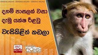 දහම් පාසලක් වසා දැමූ යක්ෂ රිළවු - වැසිකිළිත් කඩලා