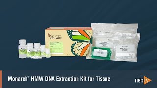 Monarch HMW DNA Extraction from Tissue: Protocol Overview