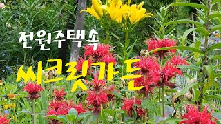 [3부] 6월의 야생화/여름꽃/전원주택정원가꾸기/씨크릿가든