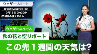 秋の花と空リポートとこの先１週間の天気