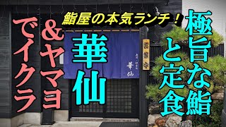 鮨屋の本気ランチ、極旨な鮨と定食＆ヤマヨでイクラ【青森県野辺地町・十和田市】