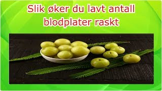 Slik øker du lavt antall blodplater raskt