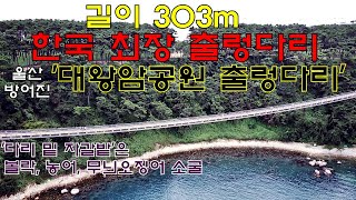 명포인트 항공촬영 50 - 울산 대왕암공원출렁다리와, 그 아래 농어, 무늬오징어 소굴