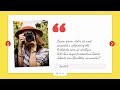 How To Design An Awesome Slider Using GliderJS | GTCoding