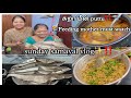 Sunday சமையல் vlog‼️ சுறா puttu🦈 | 👩‍🍼Good for feeding mother | food vlog tamil #food #cooking #fish