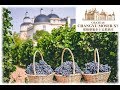 Chateau Changyu Moser Reviews | China Wine - Trailer HD