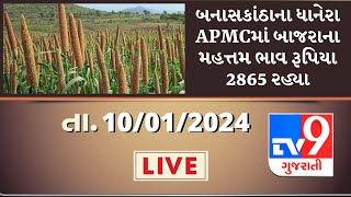 બનાસકાંઠાના ધાનેરા APMCમાં બાજરાના મહત્તમ ભાવ રૂપિયા 2865 રહ્યા |  APMC |  GUJARAT  | #Tv9D