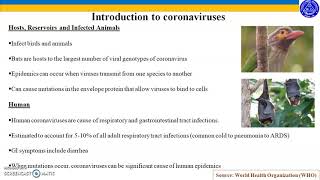 Introduction to Coronaviruses (SARS,  MERS and COVID-19): Hosts, Symptoms and History.