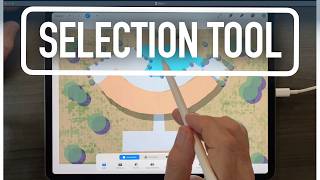Master the Selection Tool in Procreate