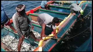 azhikode beechil meenpidutha neril kanam