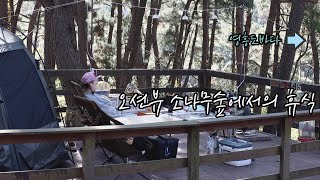 바다애견동반캠핑장🐶/ 오션뷰 소나무가있는 조용한 캠핑장🏕️ / 노을이 아름다운 바다뷰 캠핑장에서 편안한 휴식☺️/ 캠핑은 휴식이쥬~