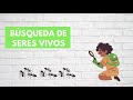 los seres vivos 🌳🐣 características en común resumen para niños